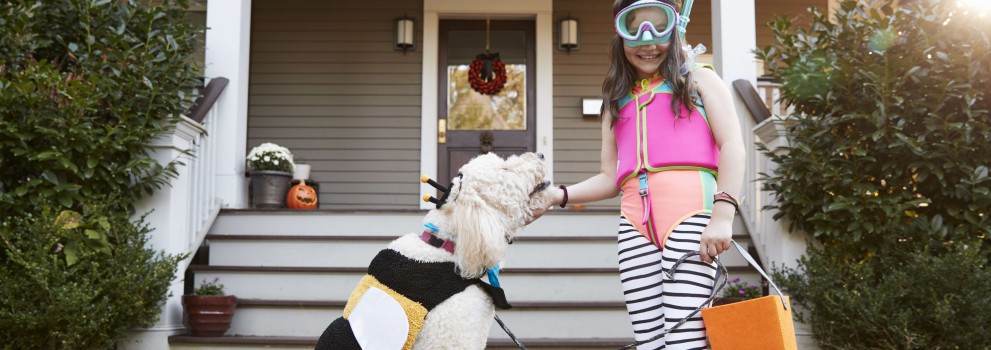 Little girl playing with dog infront of the house