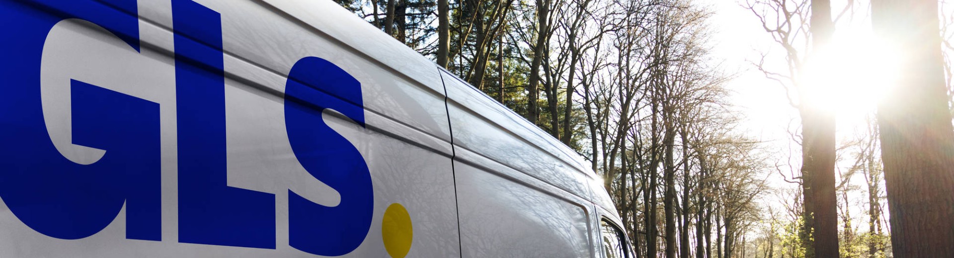 GLS van driving in woods