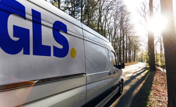 GLS van driving in woods