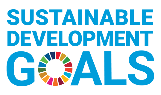 Sustainable development goals logo